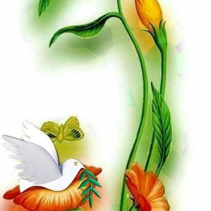 Meet your Posher, Chimeg